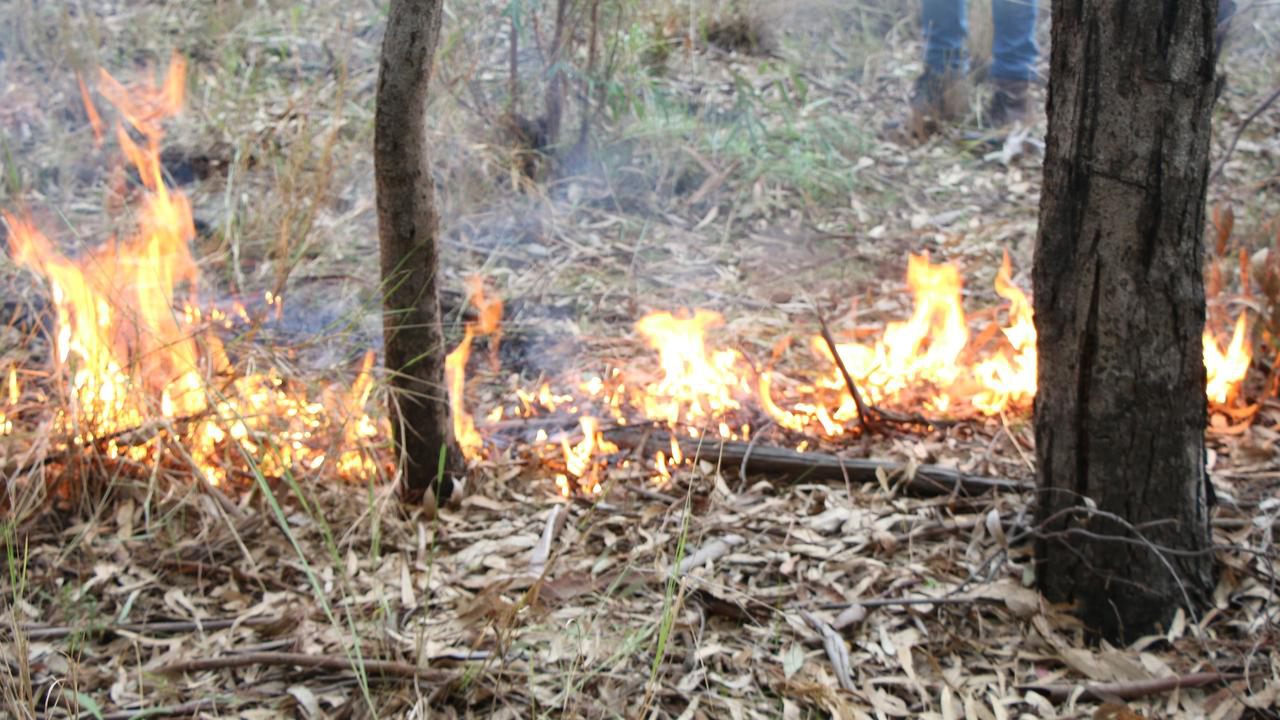 page banner image for article titled: How old is the Tasmanian cultural landscape? 