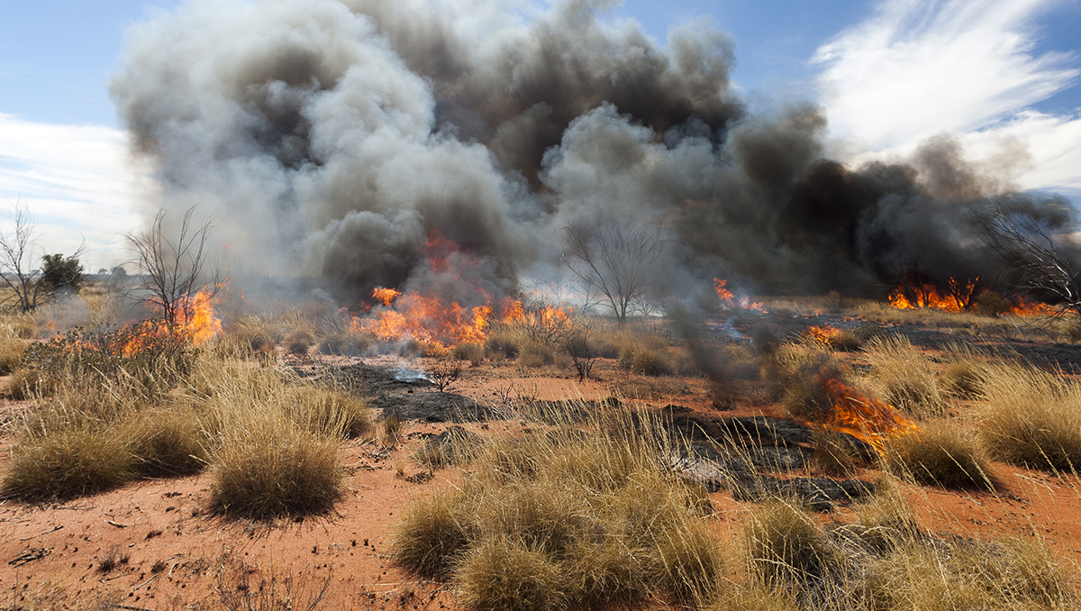 main image for article: Landscape changes may be linked to loss of traditional Indigenous Australian burning techniques